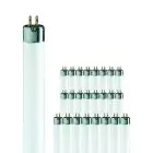 Multipack 25x Philips T5 Short 8W - 640 Kaltweiß | 29cm