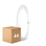 Multipack 4x Osram Tube LED T9 Circulaire (EM/Direct 230V) 18.3W 2200lm - 840 Blanc Froid | Équivalent 32W