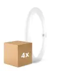 Multipack 4x Osram Tube LED T9 Circulaire (EM/Direct 230V) 18.3W 2200lm - 840 Blanc Froid | Équivalent 32W